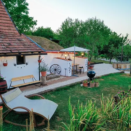 Tatil Evi Haziko